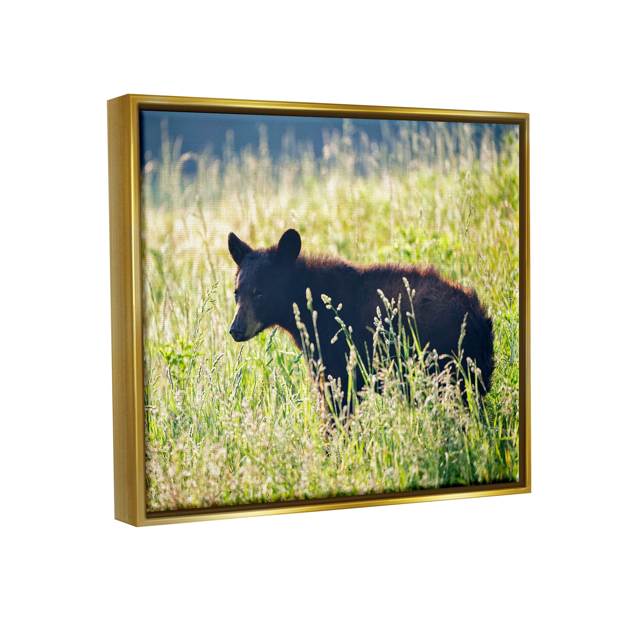 Stupell Baby Bear Tall Grassland Landscape Photography Gold Floater Framed Art Print Wall Art