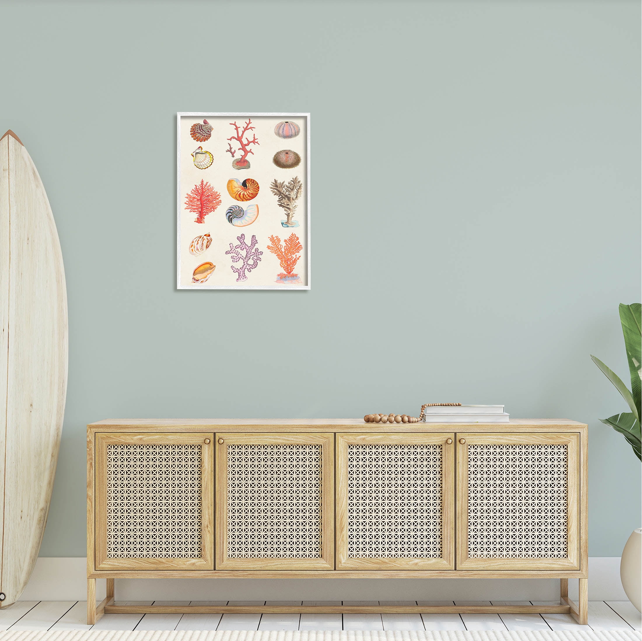 Stupell Industries Various Sea Life Nautical Latin Study Graphic Art White Framed Art Print Wall Art, Design by Vision Studio