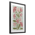 thumbnail image 2 of Stupell Industries Eclectic Pink Whimsy Midcentury Flowers Black Framed Print Under Glass, 14 x 20, by Martina Pavlova, 2 of 8