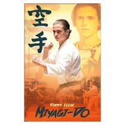 Cobra Kai - Robby Wall Poster, 14.725" x 22.375", Framed