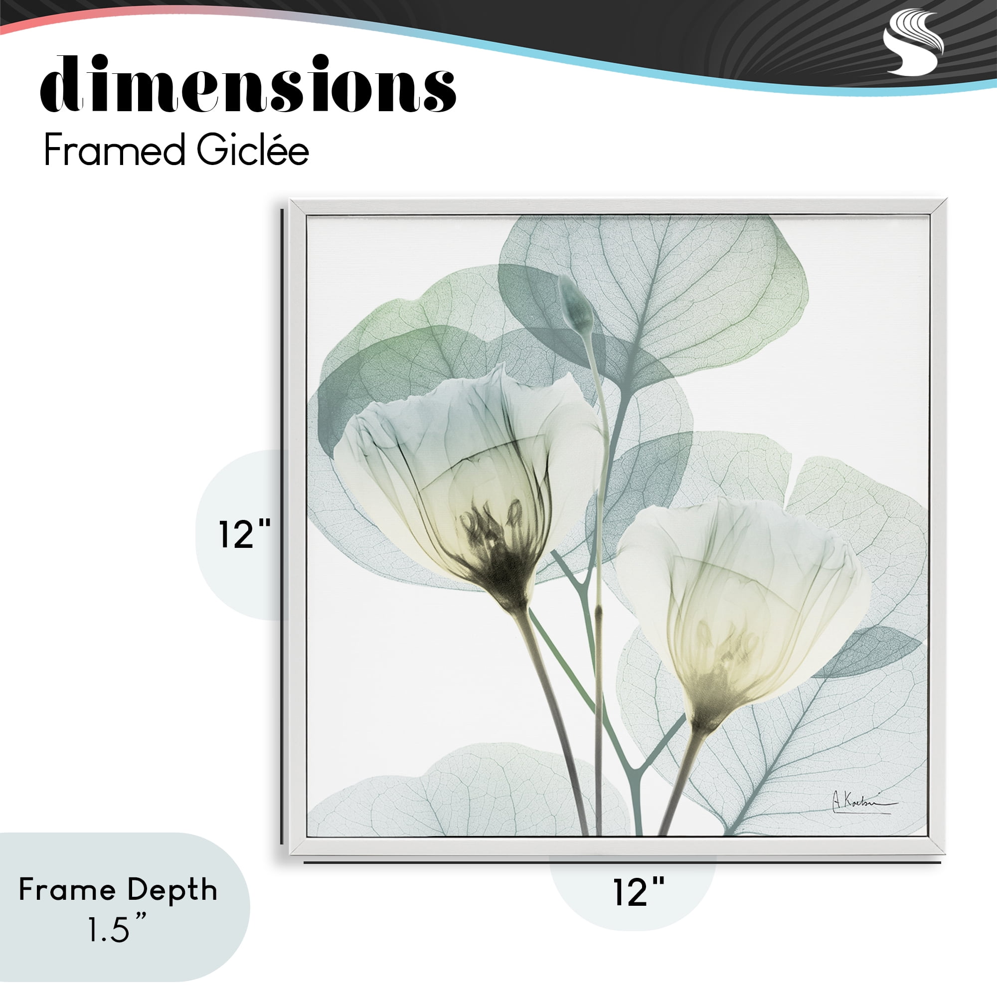 Stupell Industries Divine Fate Flower Leaves White Framed Giclee Art, design by Albert Koetsier