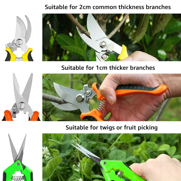 4 Types of Hand Pruners and How to Choose