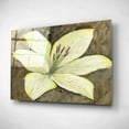 thumbnail image 2 of Epic Art 'Neutral Lily I' by Tim O'Toole, Acrylic Glass Wall Art, 24"x16", 2 of 3