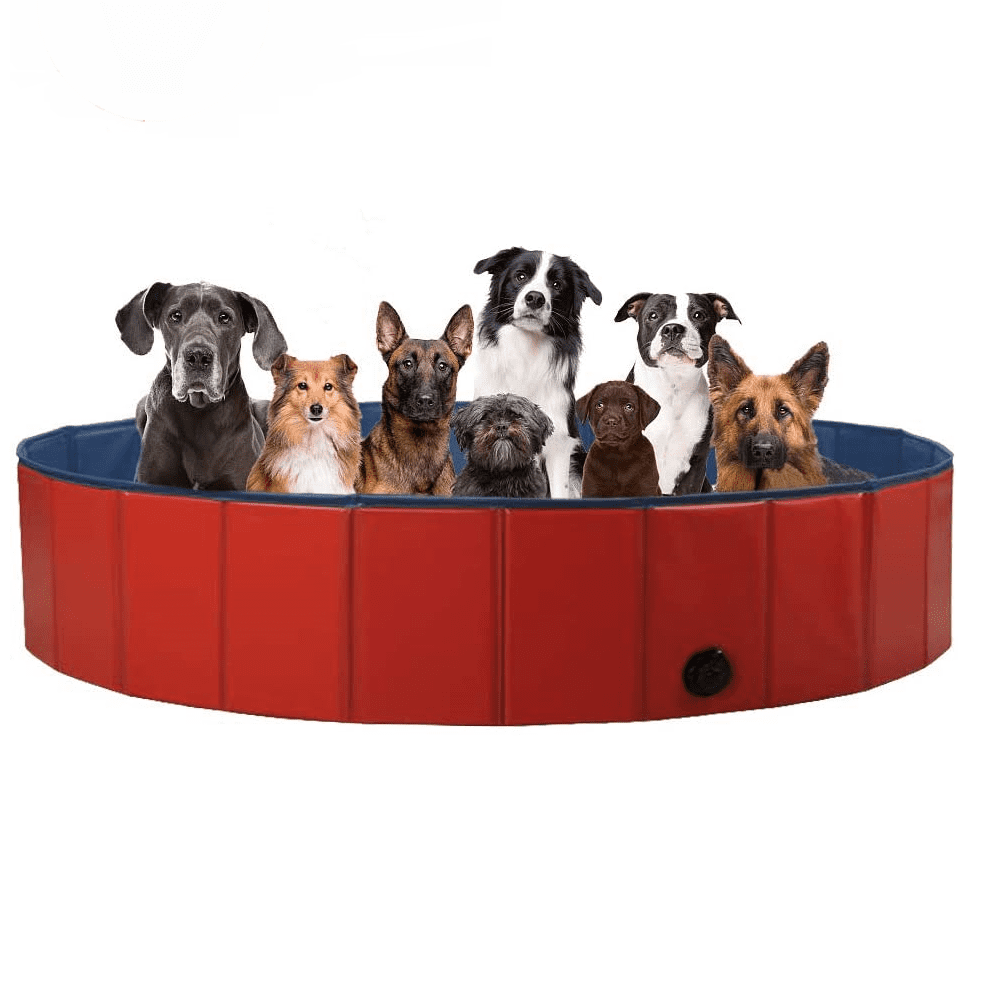 JoyX XXLarge Dog Kid Swimming Pool -Portable Hard Plastic for Dogs ...