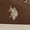 Brown, variant on U.S Polo Assn. Big and Little Boys Canvas Sneakers