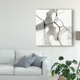 thumbnail image 3 of Trademark Fine Art 'Modulate I' Canvas Art by June Erica Vess, 3 of 4