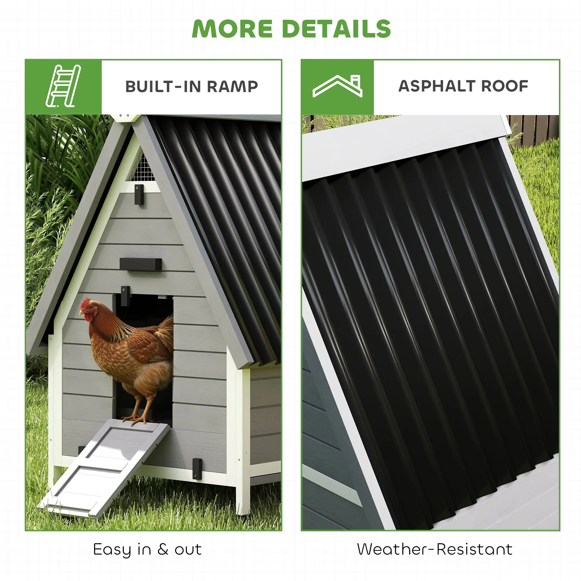 Chicken Coop