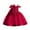 Burgundy, variant on Odeerbi 2025 Toddler Girls Temperament Minimalistic Bowknot Embroidered Flower Net Yarn Birthday Party Gown Dresses