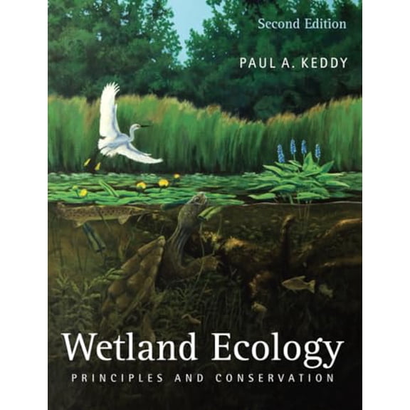 Pre-Owned Wetland Ecology (Paperback)