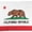 California State, variant on Jetlifee 3x5 ft Colorado State Flag,Texas State Flag, Polyester California State Flag (Texas State, Embroidered)