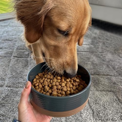 Ceramic Pet Bowl Size Medium - Food/Water Dish for Large Puppies, Cats, Retrievers, Medium Sized Dogs, ect. 28oz or 4 Cups - Basic Bowls for Your Dog or Cat, Mix and Match for a Set - Charcoal