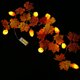 thumbnail image 4 of Cadena de luces de Navidad Lámpara de cadena decorativa de vacaciones Decoración del hogar de Halloween Leyfeng  Cuerda de lámpara, 4 of 7