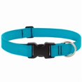 thumbnail image 1 of ADDST CLR Chien LG/TG AQU (Lot de 1), 1 of 4