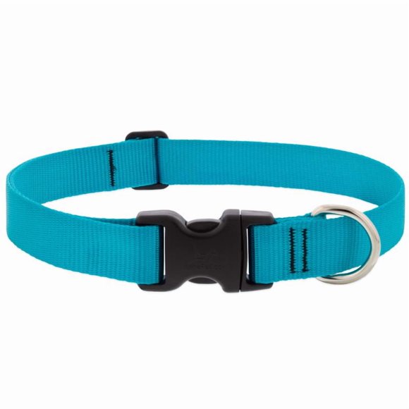 ADJST CLR DOG LG/XLG AQU(Pack of 1)