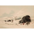 thumbnail image 2 of George Catlin 18x13 Black Ornate Wood Framed Double Matted Museum Art Print Titled - Buffalo Bull, in Snow Drift (1844), 2 of 5