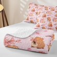 thumbnail image 4 of Erosebridal Cartoon Capybara Twin Quilt Set For Kids,Pink Cherry Blossom Twin Coverlet Set For Cute Animals Lover,2pcs, 4 of 7