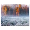 thumbnail image 2 of Design de Givre Gris par Winter - Oeuvre Murale Imprimée Paysage, 2 of 3