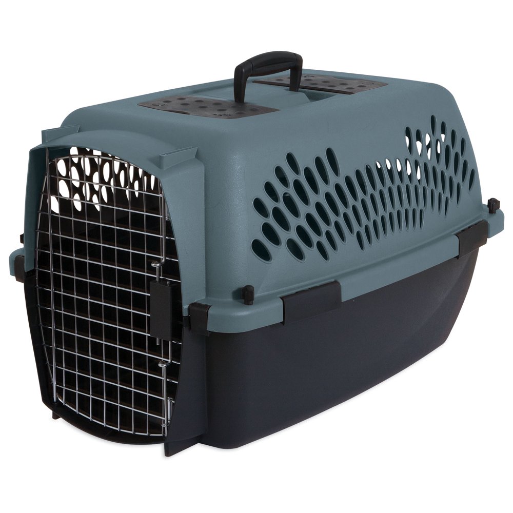 Aspen Pet Pet Porter Fashion Dog Kennel, Grey, 24"L