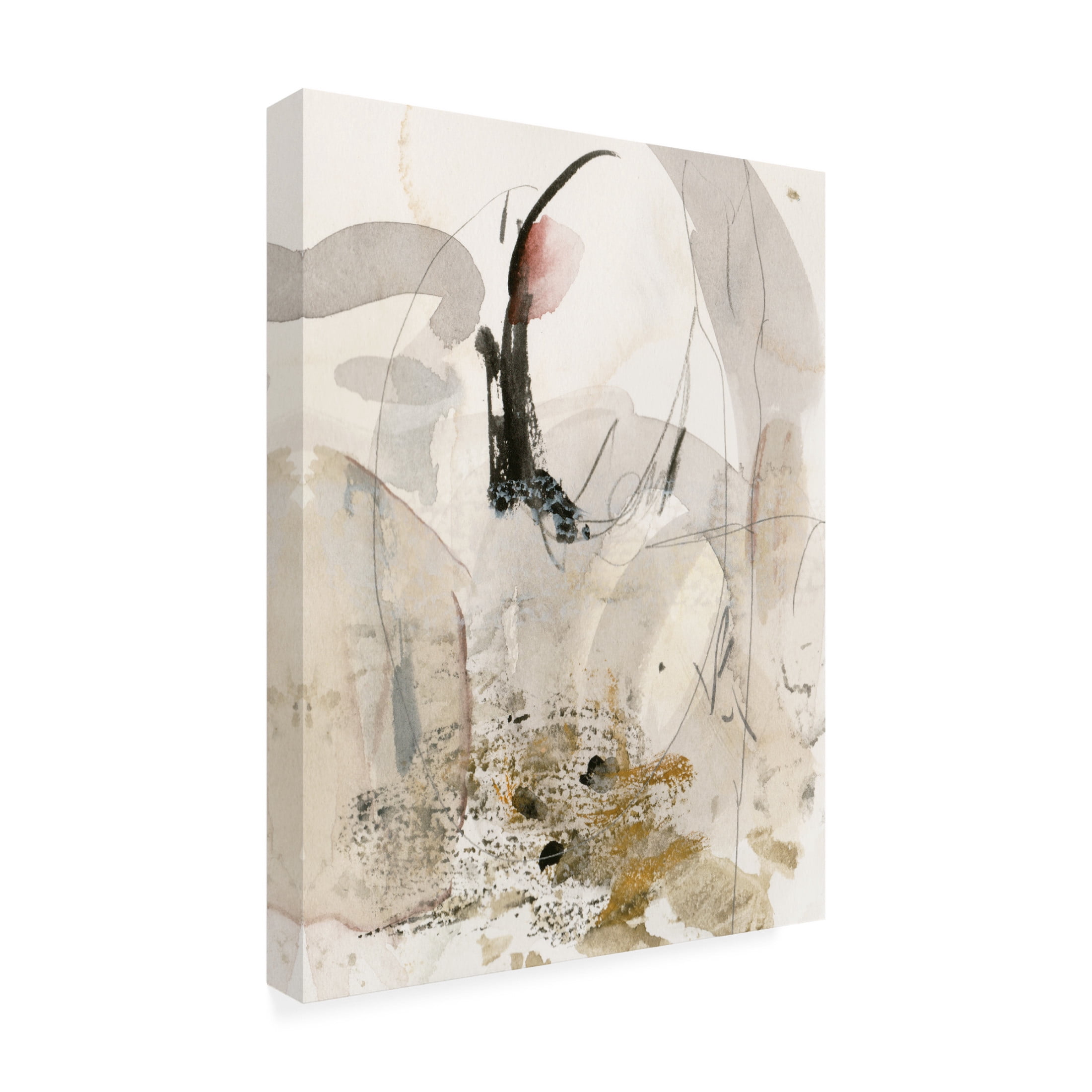 Trademark Fine Art Melissa Wang Sands & Sediments II Canvas Wall Art