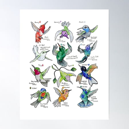Hummingbird Months With Birthstones Poster Wall Art, Modern Wall Decor For Living Room Bedroom, 8x12 UNFRAMED