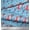 Baby Blue, variant on Soimoi Brown Cotton Voile Fabric Holly Leaves,Gift Box & Shopper Women Fashion Print Fabric by Yard 42 Inch Wide