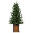 thumbnail image 3 of Haute Decor 4.5 Foot New Haven Fraser Fir Pre-Lit Potted Tree, 3 of 5