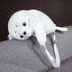 thumbnail image 3 of Mochila De Foca De Felpa Linda Muñeca De Peluche Borrosa Mochila De Animales De Peluche Bolsas Para Niños Niñas Mujeres Sweethay AP006090-00, 3 of 6