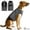 gray-M, variant on Dog Calming Anxiety Vest, ThunderStorm Fireworks Relief Pressure Wrap Shirt, Adjustable Lightweight for Small Medium Large Dogs