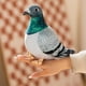 thumbnail image 4 of Tholdsy Animal relleno de pájaro simulado divertido de algodón de alta calidad para juguetes de peluche de tiempo de juego duraderos Animales de peluche y juguetes de peluche, 4 of 6