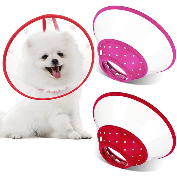 Clear cone for shop dogs