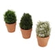 thumbnail image 2 of Juego de 3 plantas artificiales Nikou en macetas de plástico, 2 of 15