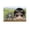 Unframe-style, variant on Margaret Keane We Roam Poster Art Poster Canvas Painting Decor Wall Print Photo Gifts Home Modern Decorative Posters 12x18inch(30x45cm)