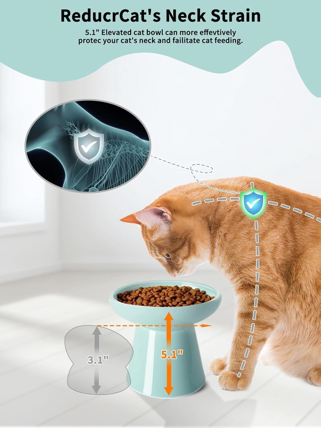 Elevated   and Water Bowls Set, Extra Wide and Raised Ceramic Feeder, Anti-Vomit -Free  Feeding Bowl for Kittens Adult Small Dogs (Blue,  Bowl)