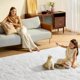 thumbnail image 2 of Alfombra LòutiRoot Home White Fluffy 120 x 180 cm para dormitorio, 2 of 7