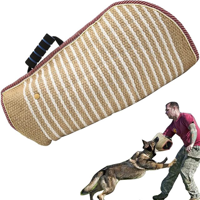 Vio protección en esta red. Todo tipo de perros en la manga. Ejercicios con bolsa de alimentación fija.