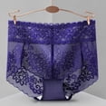 thumbnail image 4 of Fancifize Mid Waist Lace Underwear for Women Seamless Mesh Sexy Panties Ladies Stretch Full Coverage Briefs 2-Pack,M,Dark Blue, 4 of 7