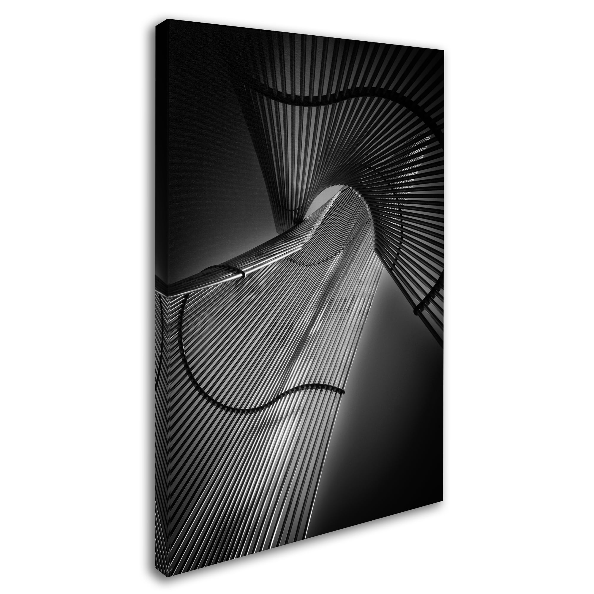 Trademark Fine Art 'Steel Frame' Canvas Art by Le Vu Cuong