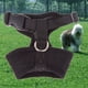 thumbnail image 3 of Malla suave Cachorro Perro Gato Arnés Transpirable Mascota Caminar Chaleco Acolchado Negro L Sywqhk Libre de BPA, 3 of 8