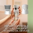 thumbnail image 6 of Air Wick Plug-in Scented Oil Refill – 6 Count Apple Essential Oils-With Paper Towel By OMA, 6 of 8