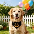 thumbnail image 2 of Halloween Pet Collar Costume Accessory, Skull Ghost Pumpkin Spider Bat Design Neck Bib Bandana for Small Medium Dogs Cats, Cute Holiday Dress Up Decor for Trick Or Treat Party Pet Photo Prop, 2 of 6