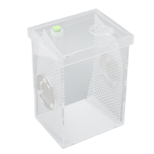 Enceinte de Terrarium en Acrylique pour Reptiles, Réservoir d'Enceinte pour Insectes Reptiles Boîte d'Alimentation pour Reptiles Boîte d'Alimentation Résultats Impressionnants