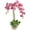 Purple, variant on Nearly Natural Phalaenopsis with Glass Vase Silk Flower Arrangement