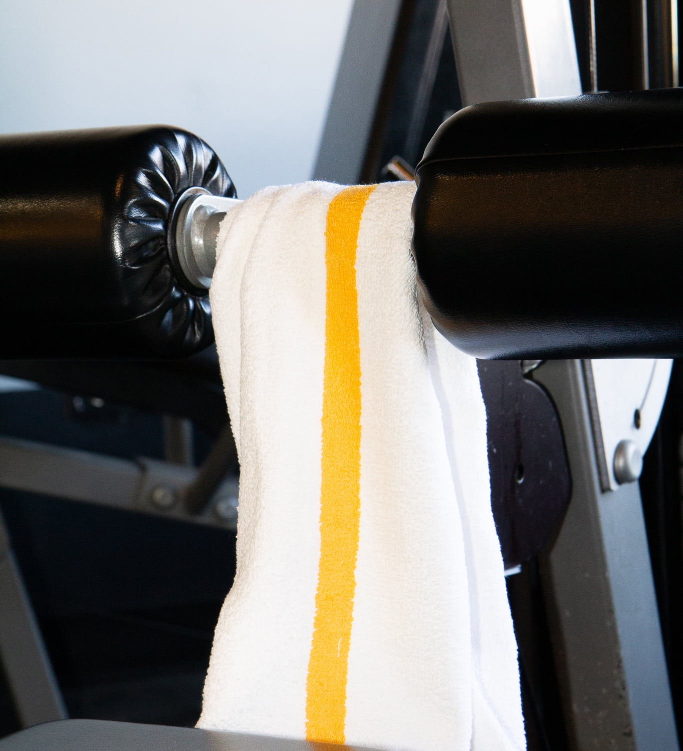 Arkwright Power Gym Bath Towels (6 Pack), 22x44 in., White with Gold Stripe, Soft Cotton