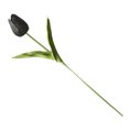 thumbnail image 3 of Inteprter Mini flor artificial, lirio único, tulipán, flor monarca, flor falsa de PU, decoración para el hogar y la Oficina, decoración para Flores artificiales negro Inteprter HA6563-03B, 3 of 6
