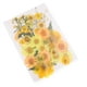 thumbnail image 1 of Flores Secas Prensadas Naturales perfecl 34-40pcs DIY, 1 of 7