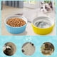 thumbnail image 4 of Laklulu 2 cuencos de cerámica para gatos, comedero para mascotas, cuenco de alimentación de comida y agua para gatitos y cachorros, 4 of 5