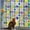Colorful, variant on PETGLE Window Privacy Film Stained Glass Window Clings 3D Rainbow Film for Glass Door Decorative Colorful Lattice Stickers Static Cling Sun Blocking Door Coverings for Home, 17.5 x 78.7 inch