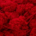 thumbnail image 2 of Red Heart E875-6319 Red Hot Yarn Pomp A Doodle, 2 of 4
