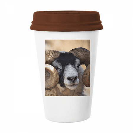 

Picture m Animal Mug Coffee Drinking Glass Pottery Cerac Cup Lid