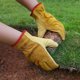 thumbnail image 4 of Guantes de trabajo de cuero Guante de jardinería de piel de vacuno resistente para corte de madera/construcción/conducción de camiones/trabajo en jardín/jardín (dorado, extragrande), 4 of 5